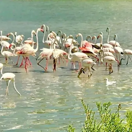 Aquariumplaya Apartamento Calpe