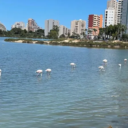 Aquariumplaya Apartamento Calpe